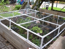 HABITAT 2 2010