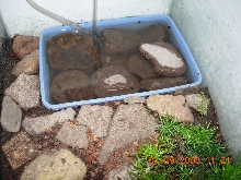 Indoor Box Turtle Pool