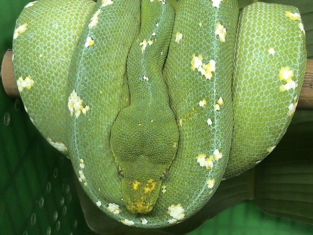 Lereh2
