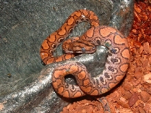 Another pic of my BRB