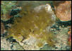 Saltwater Photos