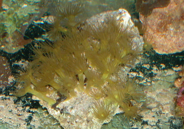 Saltwater Photos
