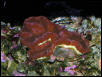 Saltwater Photos