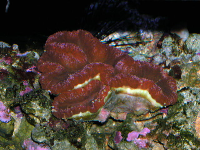 Saltwater Photos