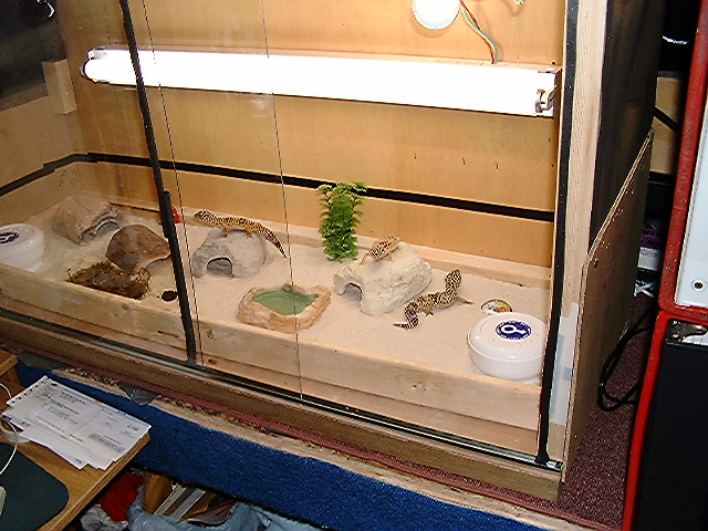 Home-made cage