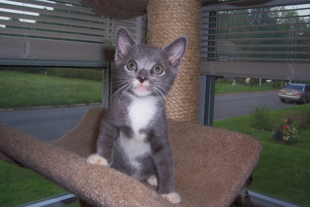 Andy....8 weeks