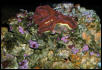 Saltwater Photos