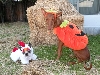 Halloween 09
