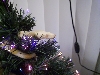 My christmas gift