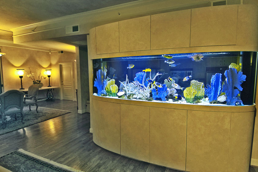 my aquarium