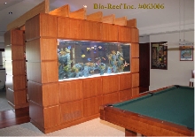 i have alot of aquariums