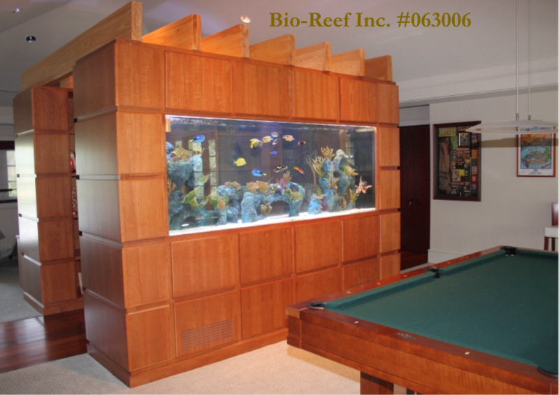 i have alot of aquariums
