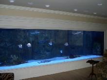 my fav wall aquarium