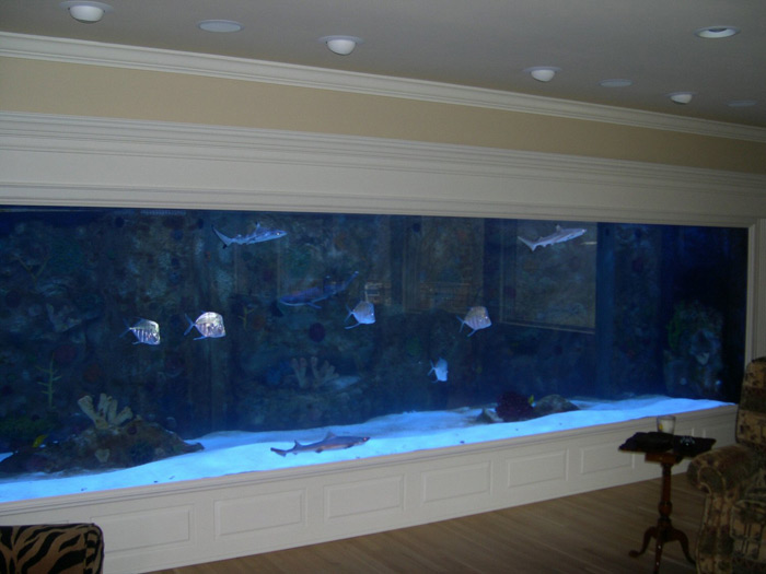 my fav wall aquarium