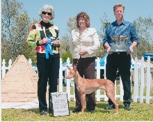 PHCA Specialty 2010