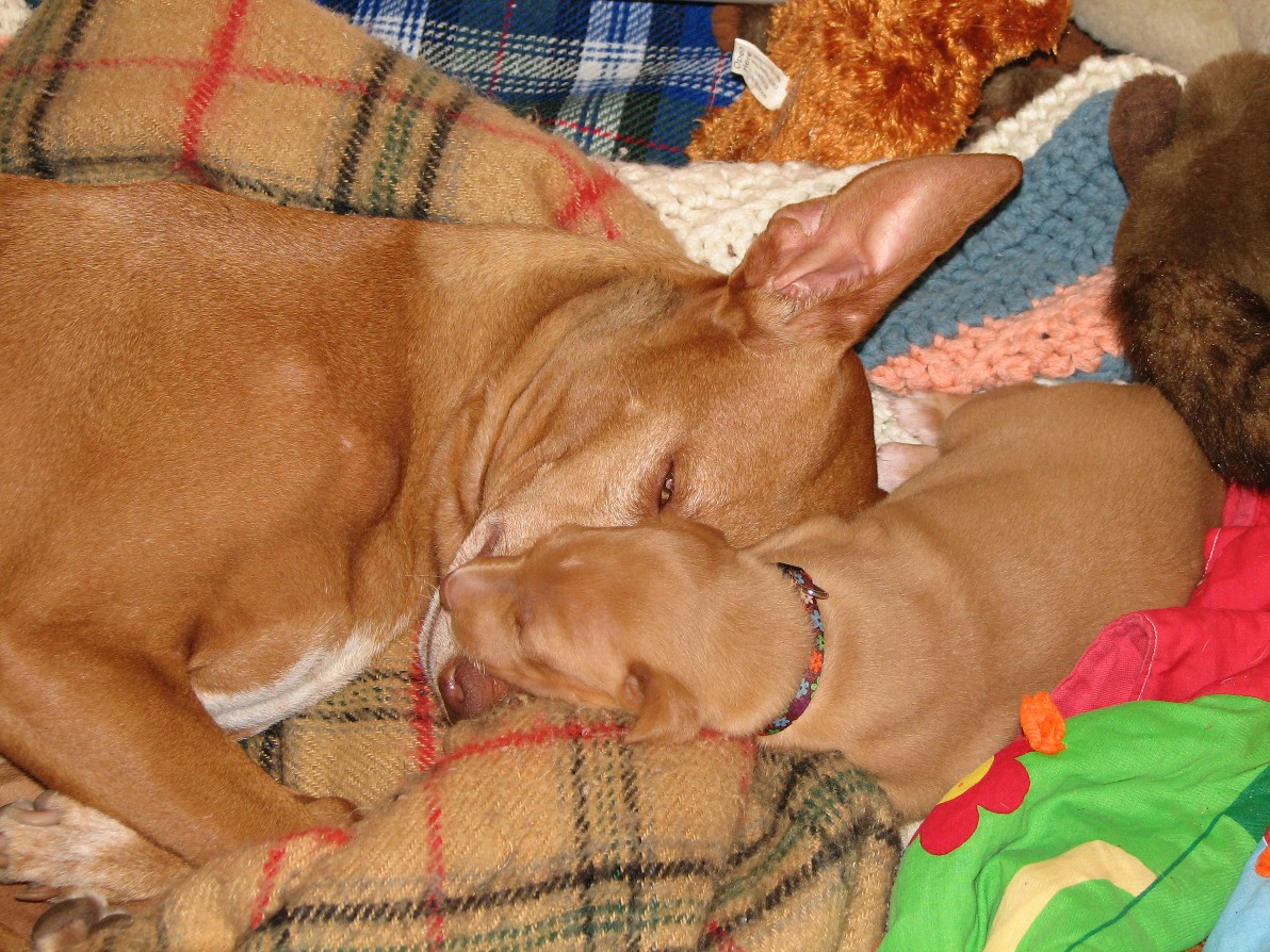 Mother and Daughter