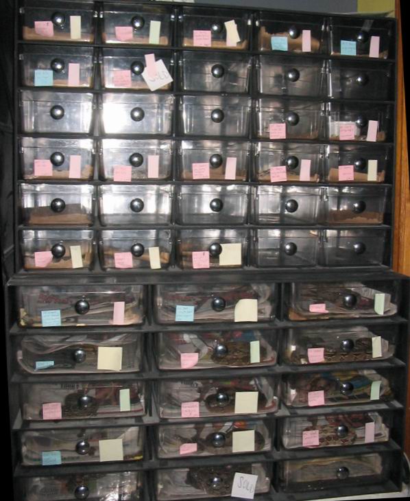 setup early 2005