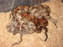 group shot T