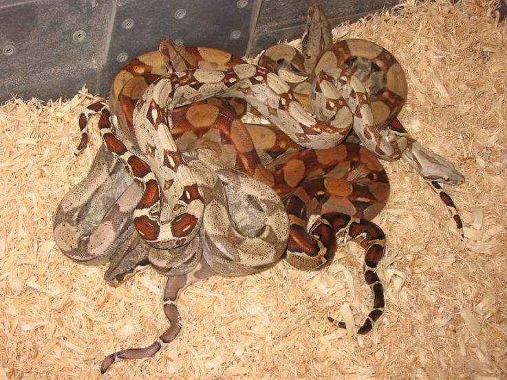 group shot T