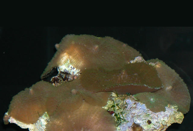 Saltwater Photos