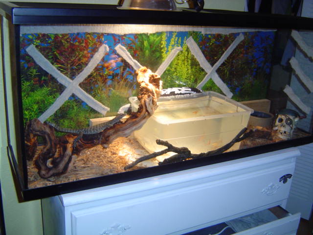 Mangrove Monitor enclosure