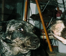 Bell and Emma