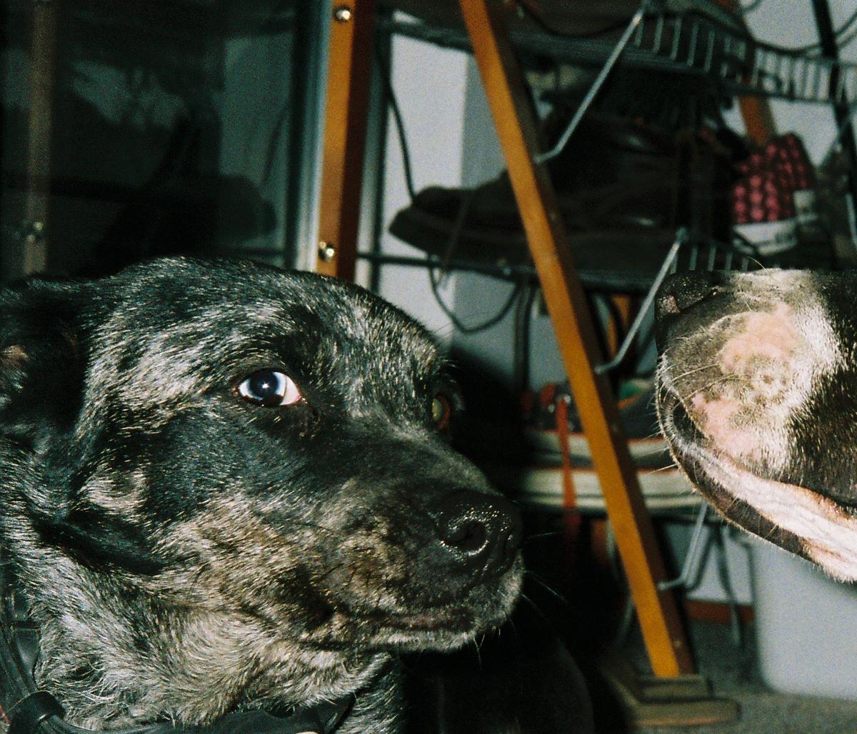 Bell and Emma