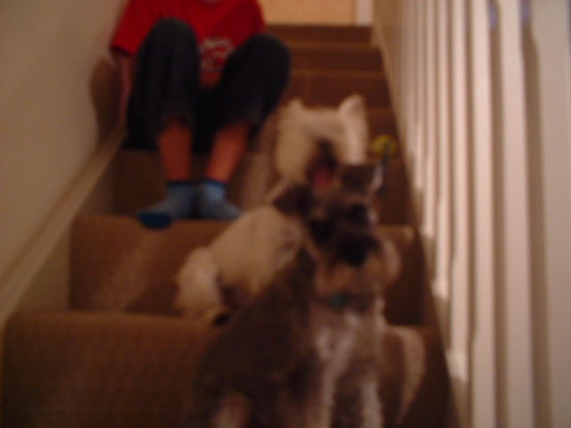 max and milli