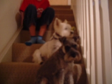 max and milli