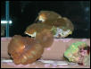 Saltwater Photos