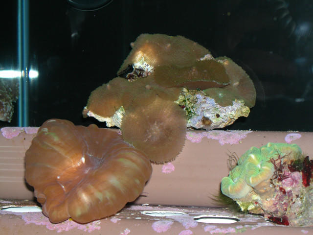 Saltwater Photos