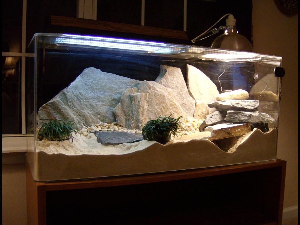 Oblique View