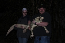 gator 2