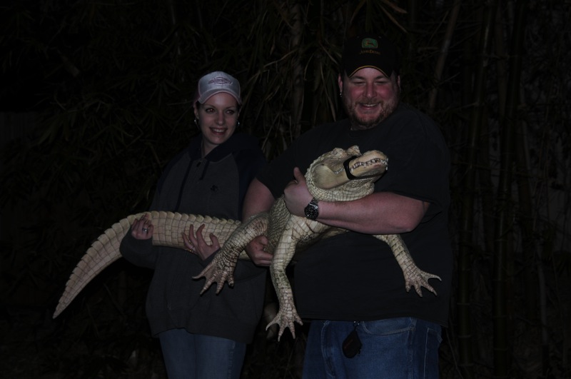 gator 2