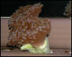 Saltwater Photos