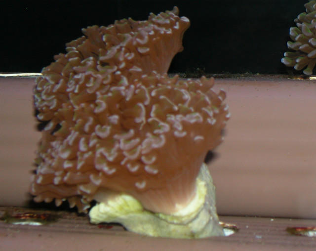 Saltwater Photos