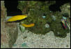 Saltwater Photos