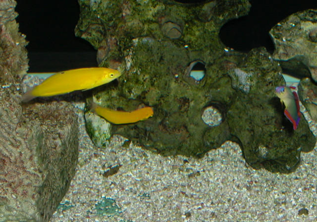 Saltwater Photos