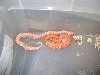 pink hypo