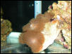 Saltwater Photos