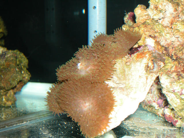 Saltwater Photos