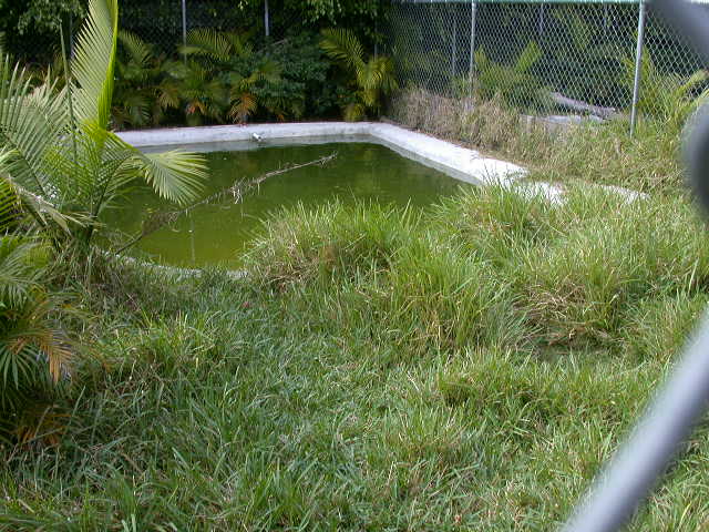 Chicken Turle Pond