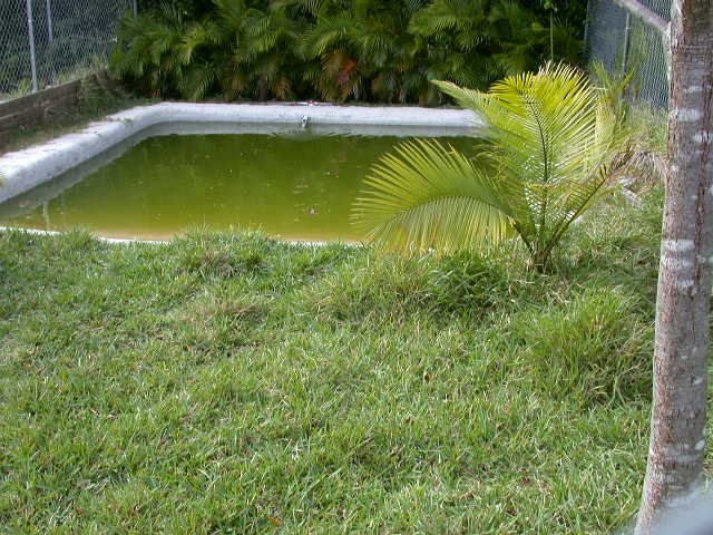 Another Pond