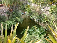 Drainage Pond
