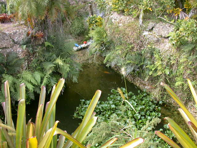 Drainage Pond