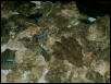 Saltwater Photos