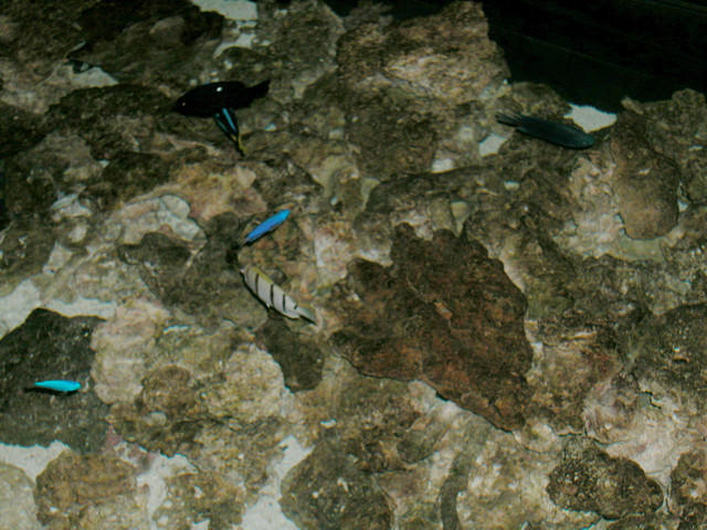 Saltwater Photos