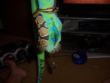 denali choking a stuffed snake.