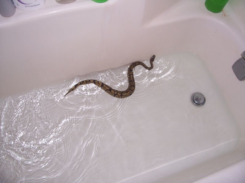 him swimming again