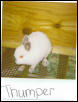 This is my old bun